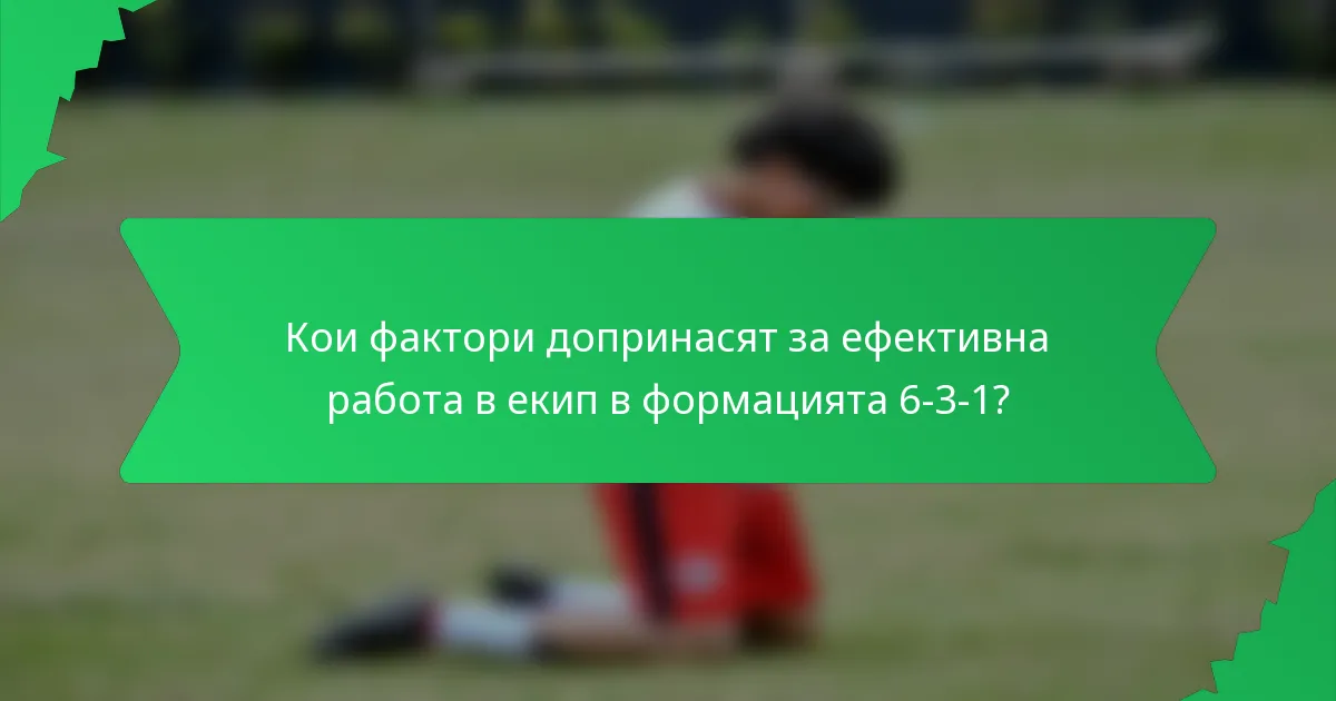 Кои фактори допринасят за ефективна работа в екип в формацията 6-3-1?